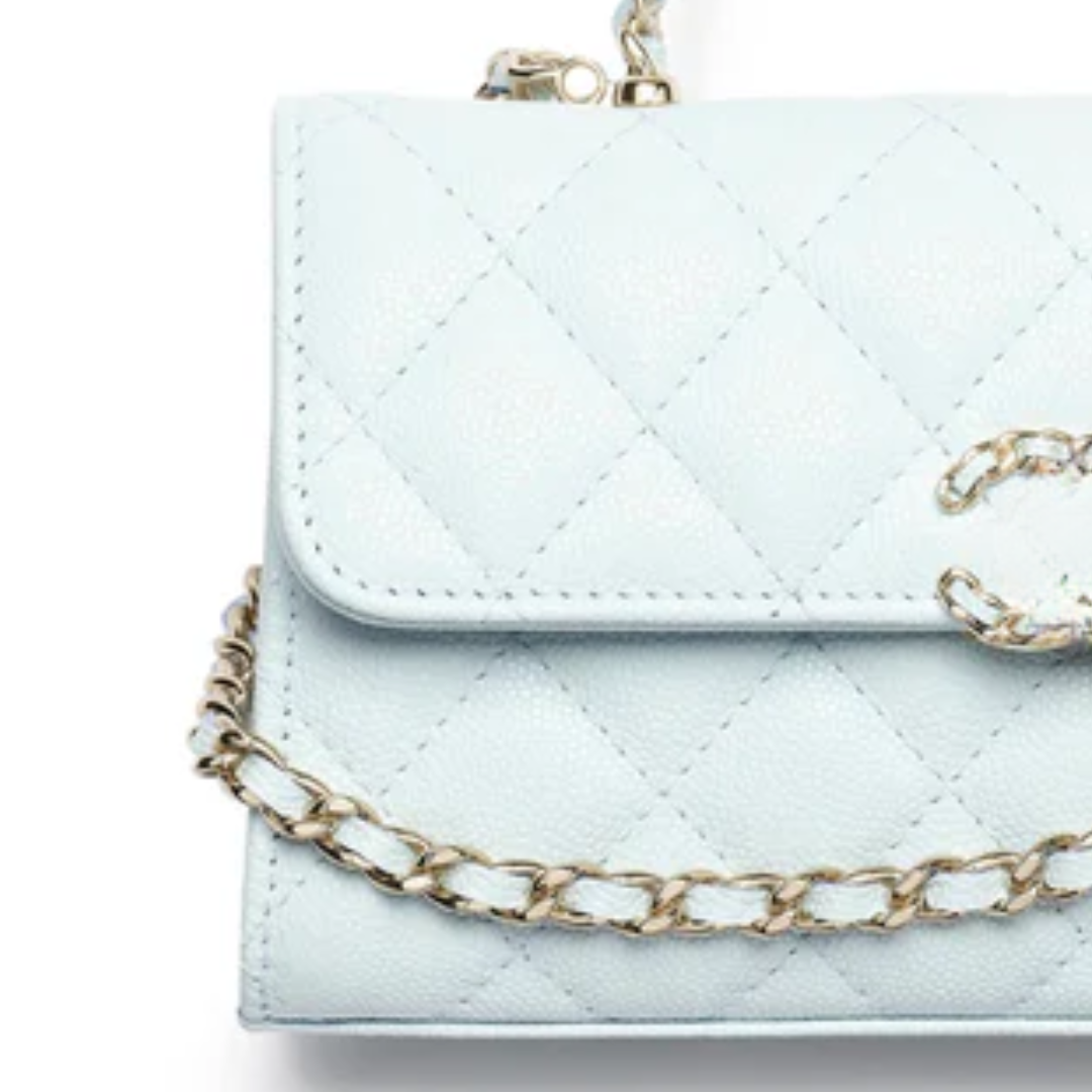 Classic Flap Bag in Ice Gray – Cnl